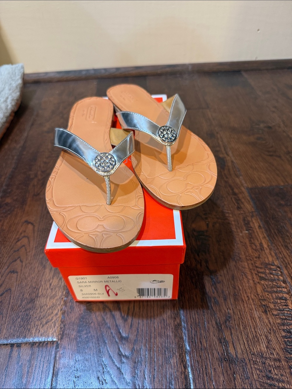 Metallic Silver Jeweled Thong Sandals